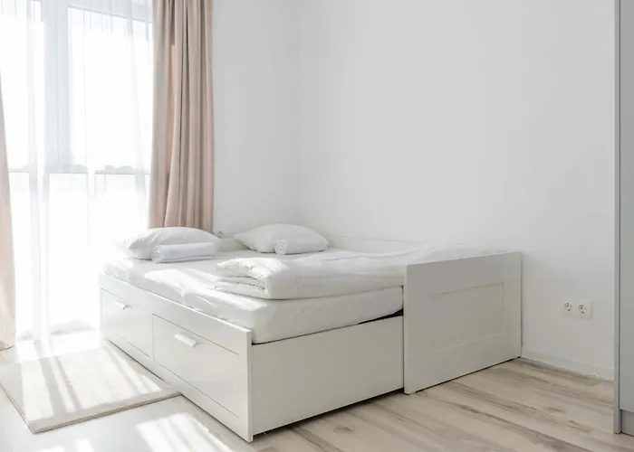 Joy Forest 54-85 * Timisoara