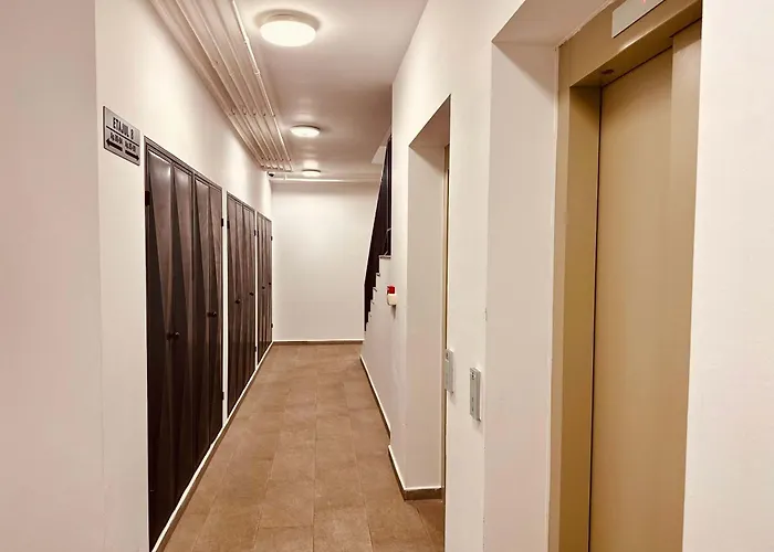 Joy Forest 54-85 * Timişoara