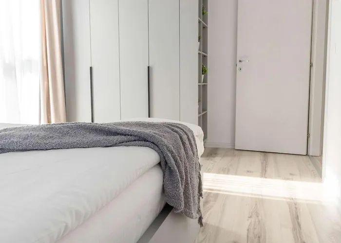 Joy Forest 54-85 Тимишоара