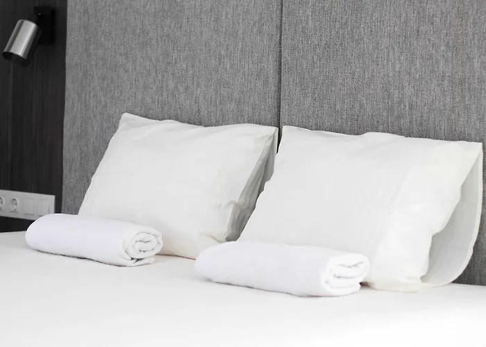 Joy Forest 54-85 * Тимишоара